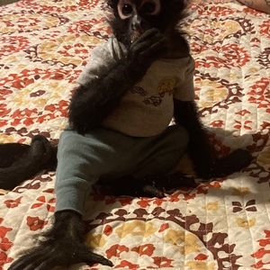 Meet your Posher, Billy